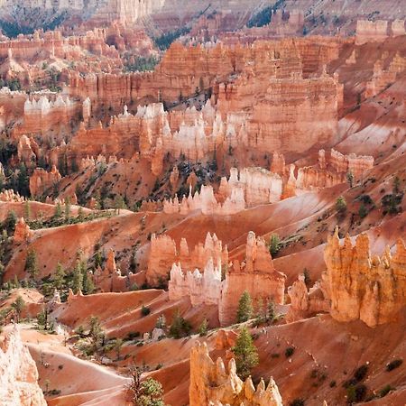 Summers Love Near Zion Np Washington Exterior photo