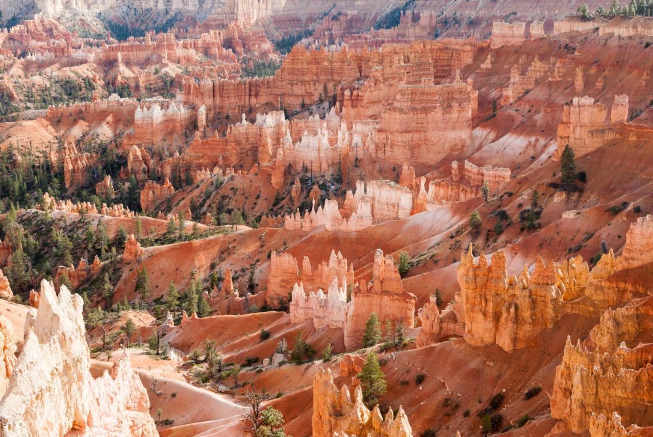 Summers Love Near Zion Np Washington Exterior photo