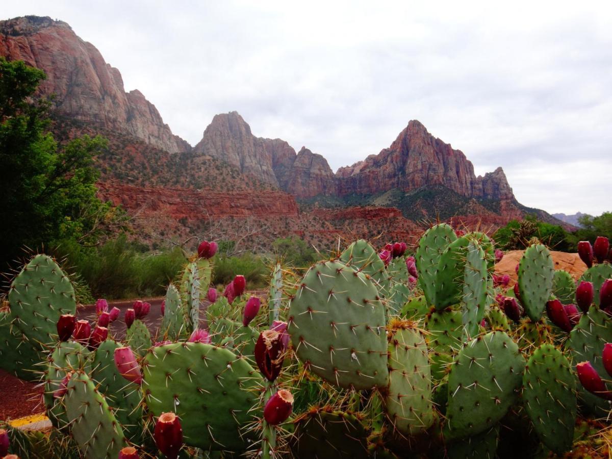 Summers Love Near Zion Np Washington Exterior photo